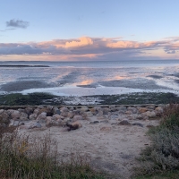 Lütje Hüs Westerland