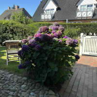 Lütje Hüs Westerland